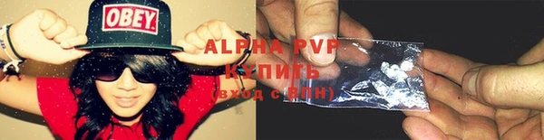 PSILOCYBIN Бугульма