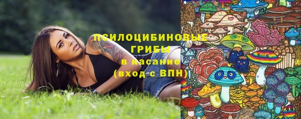 дмт Верхний Тагил