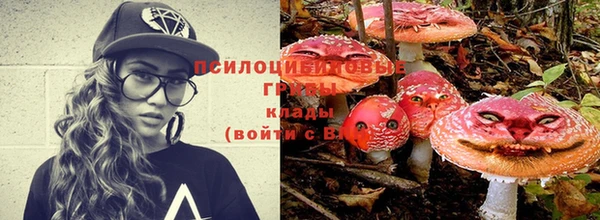 амф Верея