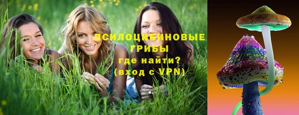 a pvp Белокуриха