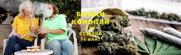 амф Верея