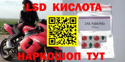 индика Новодвинск