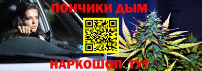 индика Новодвинск