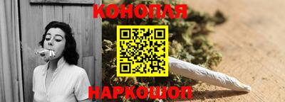 индика Новодвинск
