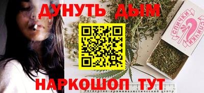 индика Новодвинск