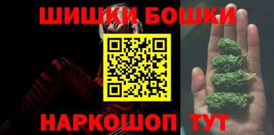 индика Новодвинск