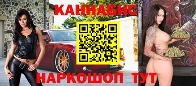 индика Новодвинск