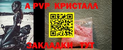 индика Новодвинск