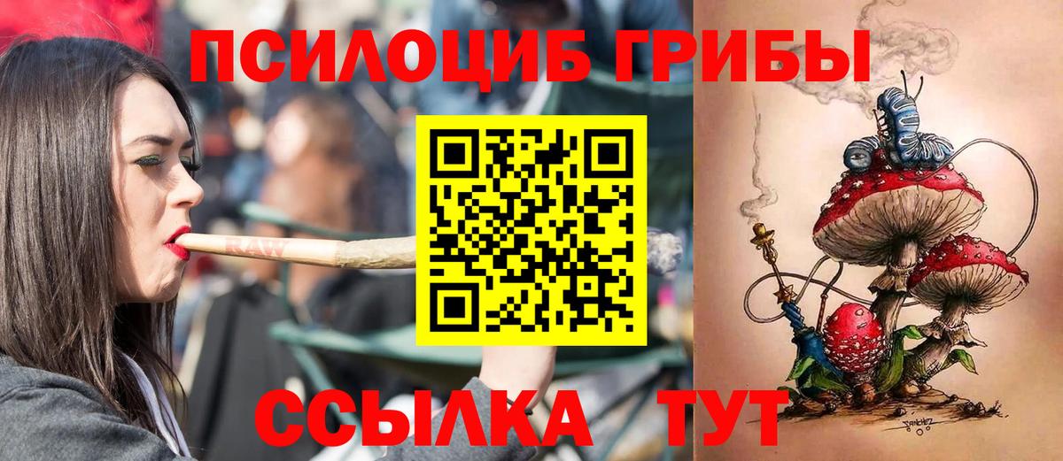 Галлюциногенные грибы GOLDEN TEACHER Соль-Илецк