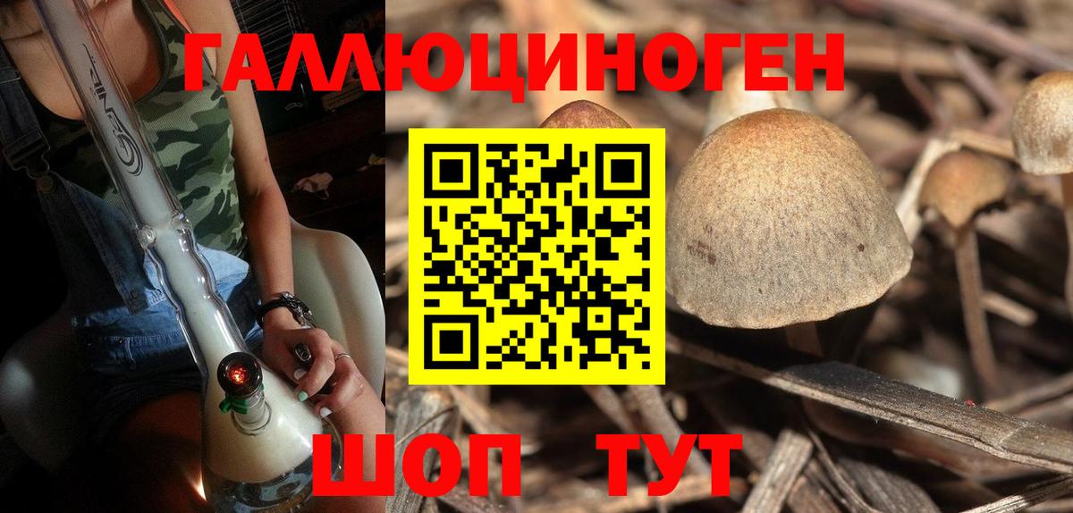 Соль-Илецк  Галлюциногенные грибы прущие грибы  Вход с VPN 